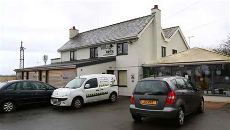 Village Vets, Liverpool Road, Buckley, Reviews and .